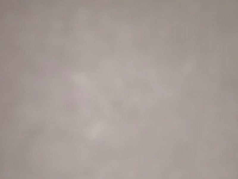 Paneer Cheese Masala