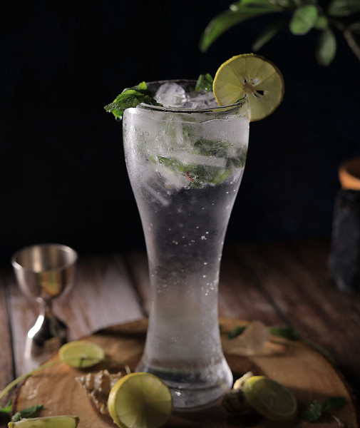 Fresh Mint Mojito